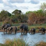 Safari en Tanzanie hors des sentiers battus